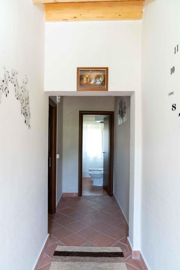 B&B Aria Antica Verbicaro Luaran gambar